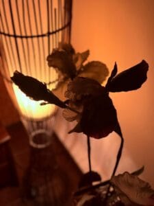 photo_2025-10-06_19-04-00